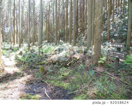 丹波「八上城」の曲輪と石垣・眺望 92038624