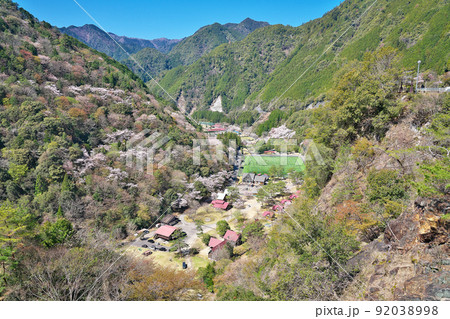 【満開の桜・下北山スポーツ公園 きなりの郷】 奈良県吉野郡下北山村上池原 92038998