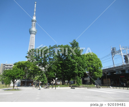 隅田公園の広場 92039481