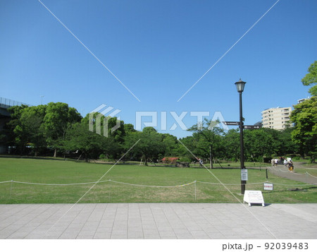 隅田公園の芝生 隅田公園の芝生 92039483