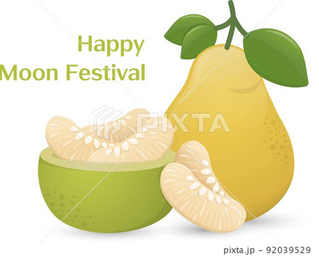 フルーツ 果物 果実 92039529