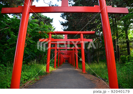 神々しい札幌伏見稲荷神社 神々しい札幌伏見稲荷神社 92040179