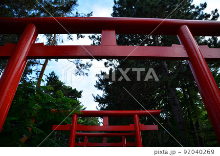 神々しい札幌伏見稲荷神社 92040269