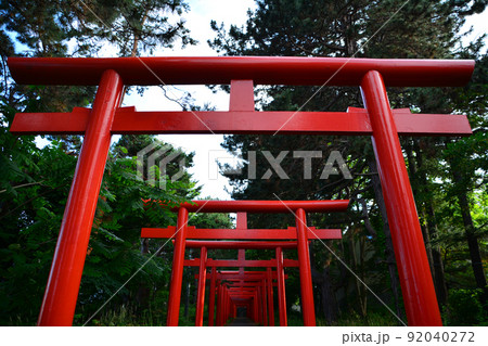神々しい札幌伏見稲荷神社 神々しい札幌伏見稲荷神社 92040272