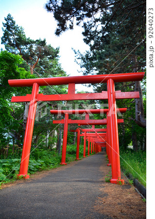 神々しい札幌伏見稲荷神社 神々しい札幌伏見稲荷神社 92040273