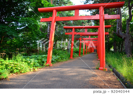 神々しい札幌伏見稲荷神社 神々しい札幌伏見稲荷神社 92040344