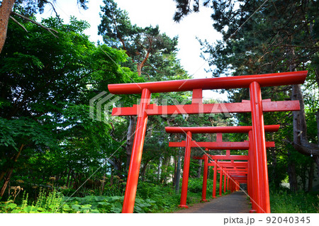神々しい札幌伏見稲荷神社 神々しい札幌伏見稲荷神社 92040345
