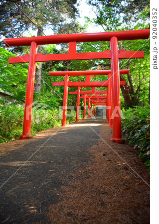 神々しい札幌伏見稲荷神社 神々しい札幌伏見稲荷神社 92040352