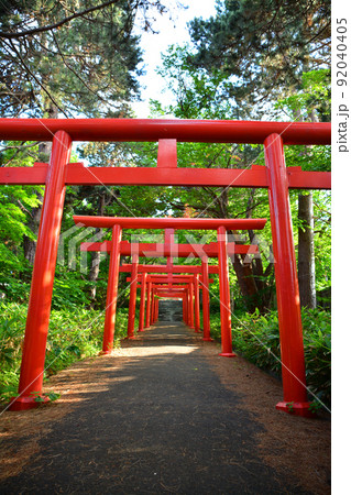 神々しい札幌伏見稲荷神社 神々しい札幌伏見稲荷神社 92040405