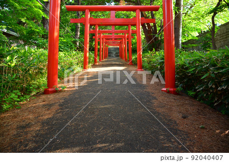 神々しい札幌伏見稲荷神社 神々しい札幌伏見稲荷神社 92040407