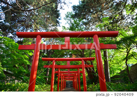 神々しい札幌伏見稲荷神社 神々しい札幌伏見稲荷神社 92040409