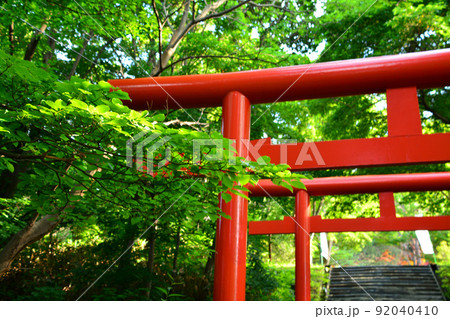 神々しい札幌伏見稲荷神社 神々しい札幌伏見稲荷神社 92040410