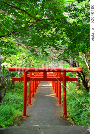 神々しい札幌伏見稲荷神社 神々しい札幌伏見稲荷神社 92040480