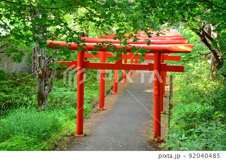 神々しい札幌伏見稲荷神社 神々しい札幌伏見稲荷神社 92040485