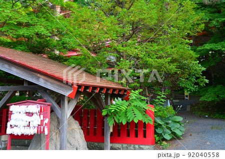 神々しい札幌伏見稲荷神社 神々しい札幌伏見稲荷神社 92040558