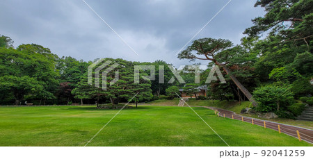 青瓦台 松 芝生 92041259