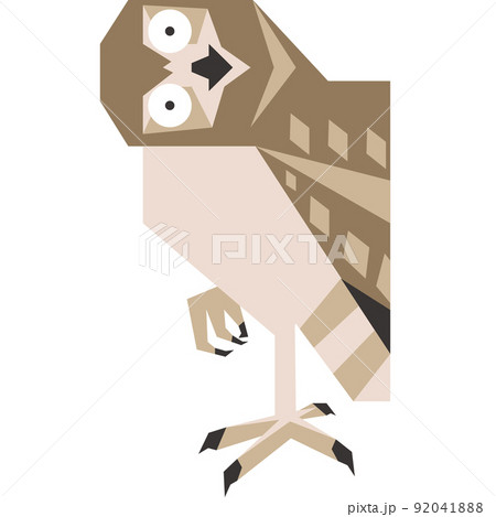 Colorful minimalistic illustration of a species of bird. 92041888