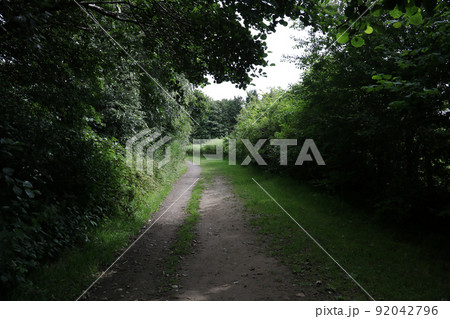 Country Lane on a Shady Summer Afternoon 92042796