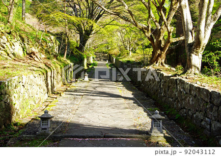 国東半島の両子寺の石畳みの参道 92043112