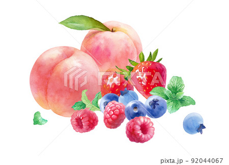 フレッシュな3種のベリーと桃の水彩イラスト。ラズベリー、ストロベリー、ブルーベリー、ミント、桃の集合 92044067