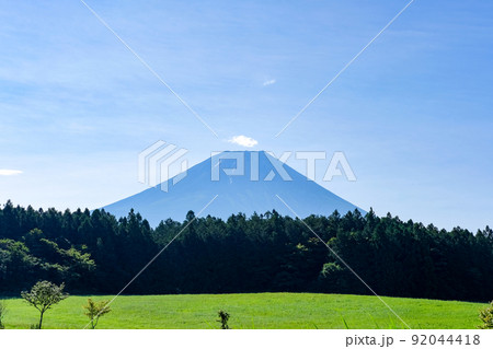 静岡県富士宮市朝霧高原からの富士山 92044418