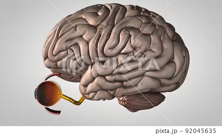 human brain with eyes