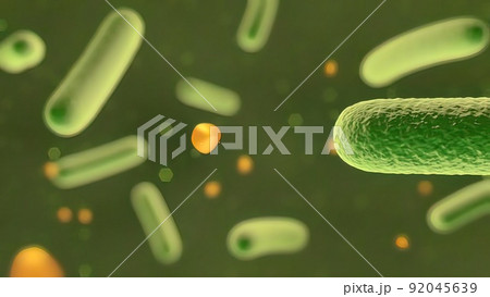 Microscopic visualization of bacteria . Microscopic visualization of bacteria . 92045639