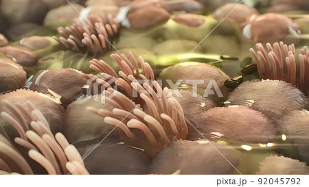 3D Microbiology illustrationof the Mechanisms of fibrosis 3D Microbiology illustrationof the Mechanisms of fibrosis 92045792