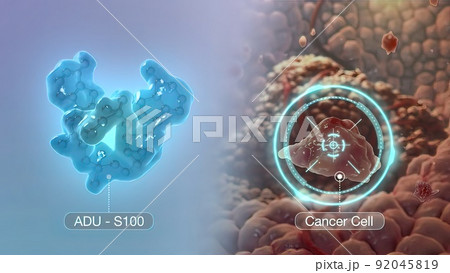 fight against cancer cells fight against cancer cells 92045819