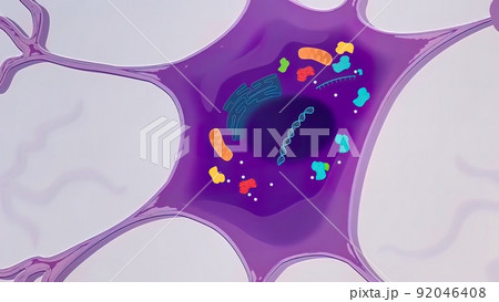 The process of transformation of genes with DNA sequences into functional protein structures. 92046408