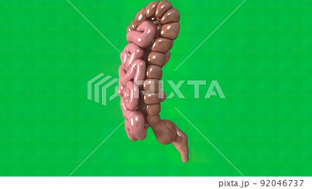 The green background digestive system 92046737