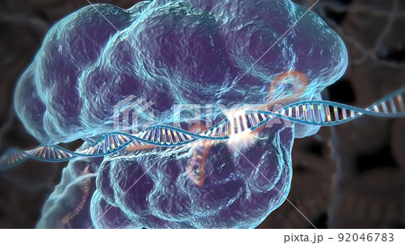 Mechanisms that induce or suppress the expression of a gene Mechanisms that induce or suppress the expression of a gene 92046783