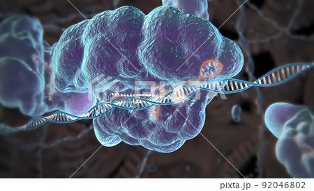 Mechanisms that induce or suppress the expression of a gene 92046802