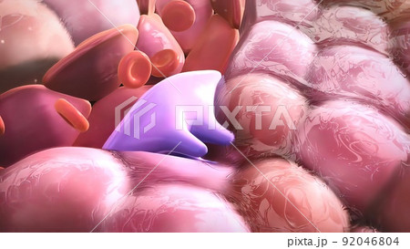 The breakdown of glucose by enzymes, releasing energy and pyruvic acid. 92046804