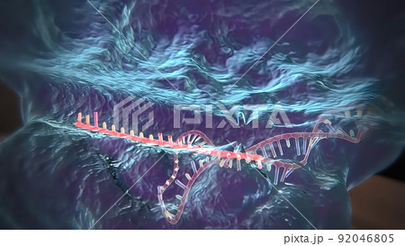Dna Editing, Repair, Engineering. Extraction Of Segements. Dna Editing, Repair, Engineering. Extraction Of Segements. 92046805