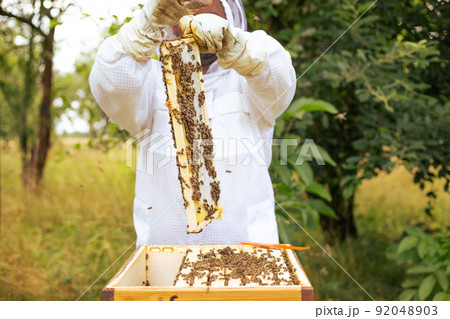 Beekeeper on an apiary, beekeeper is working with bees and beehives on the apiary, beekeeping or apiculture concept 92048903