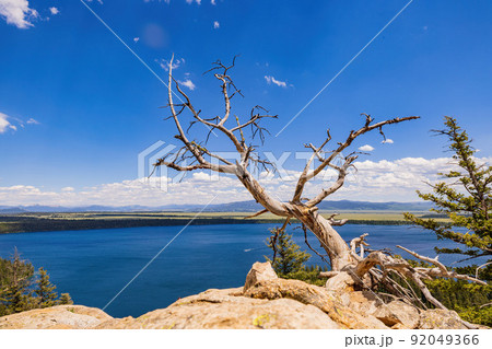 High angle view of the Jenny lake landscape of the Grand Teton National Park 92049366