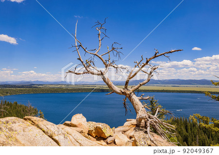 High angle view of the Jenny lake landscape of the Grand Teton National Park High angle view of the Jenny lake landscape of the Grand Teton National Park 92049367