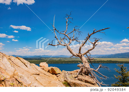 High angle view of the Jenny lake landscape of the Grand Teton National Park 92049384