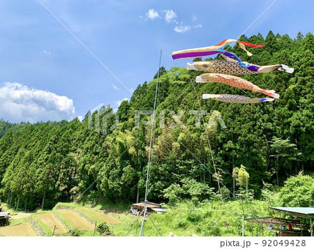 五月晴れの青空に泳ぐ棚田の鯉のぼり［四谷千枚田/愛知県新城］ 92049428