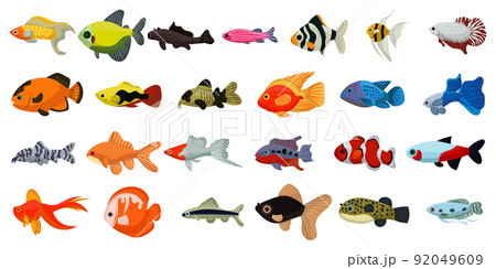 Aquarium tropical fish and cartoon ocean cute collection. Sea coral reef animals and underwater vector illustration. Water colorful marine set fish and decorative exotic pet icon. Undersea  seafood 92049609