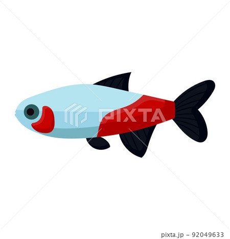 Neon fish aquarium water animal nature and vector underwater aquatic art. Tropical illustration fish with tail and fin. Beautiful decorative multicolored pet drawing and ichthyology coral reef 92049633