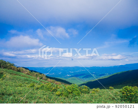 夏の伊豆山稜線歩道の風景 夏の伊豆山稜線歩道の風景 92050121