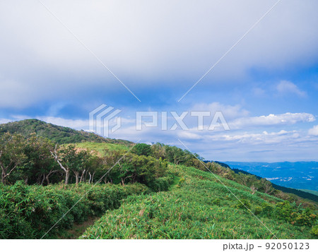 夏の伊豆山稜線歩道の風景 夏の伊豆山稜線歩道の風景 92050123