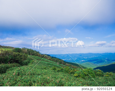 夏の伊豆山稜線歩道の風景 夏の伊豆山稜線歩道の風景 92050124