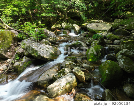 愛媛県松野町　滑床渓谷の風景 92050184