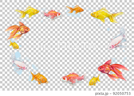 Goldfish frame 1 92050753