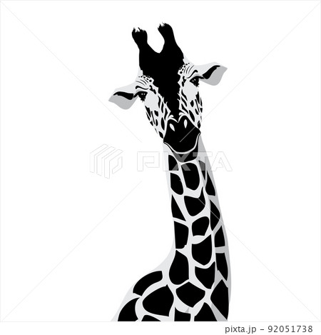 Vector illustration of a black silhouette giraffe. Isolated white background. 92051738