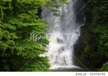 秋田県にかほ市象潟町小滝　観瀑台からの迫力の奈曽の白瀑谷（白滝） 92056286