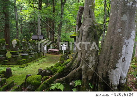 石仏様 石仏様 92056304